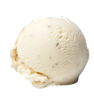 Vanilla Bean